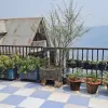 Benus Darjeeling Home A Backpackers Hub